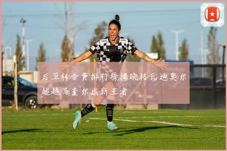 后卫转会费排行榜揭晓格瓦迪奥尔超越马奎尔成新王者